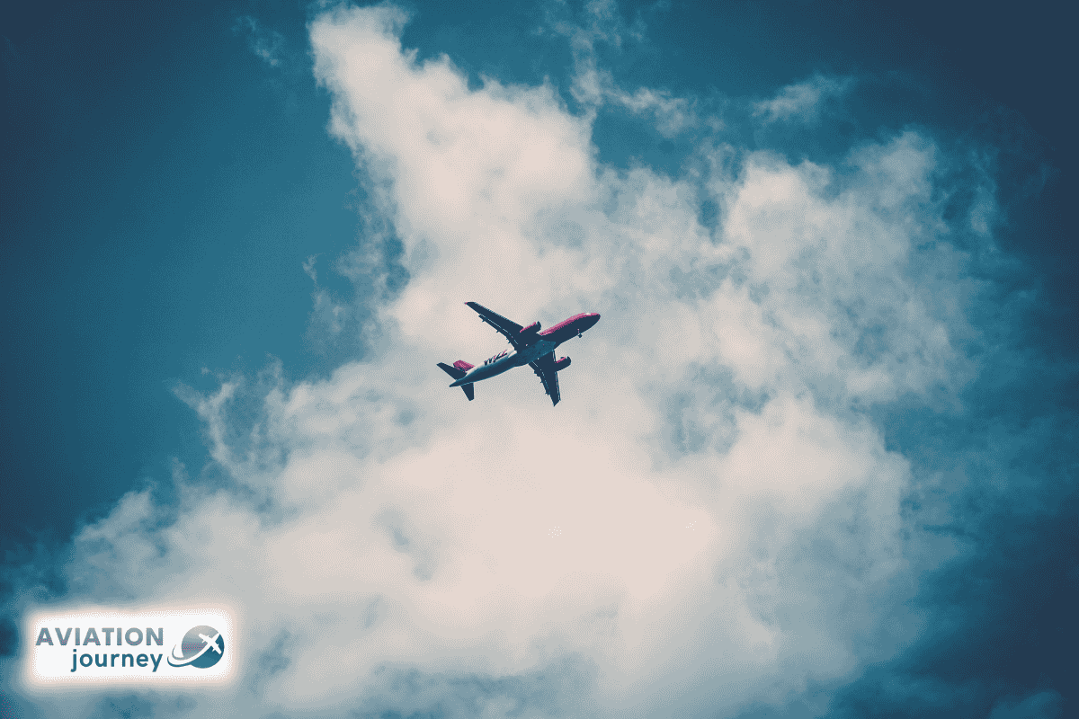 mimosa-fligh-aviation-journey